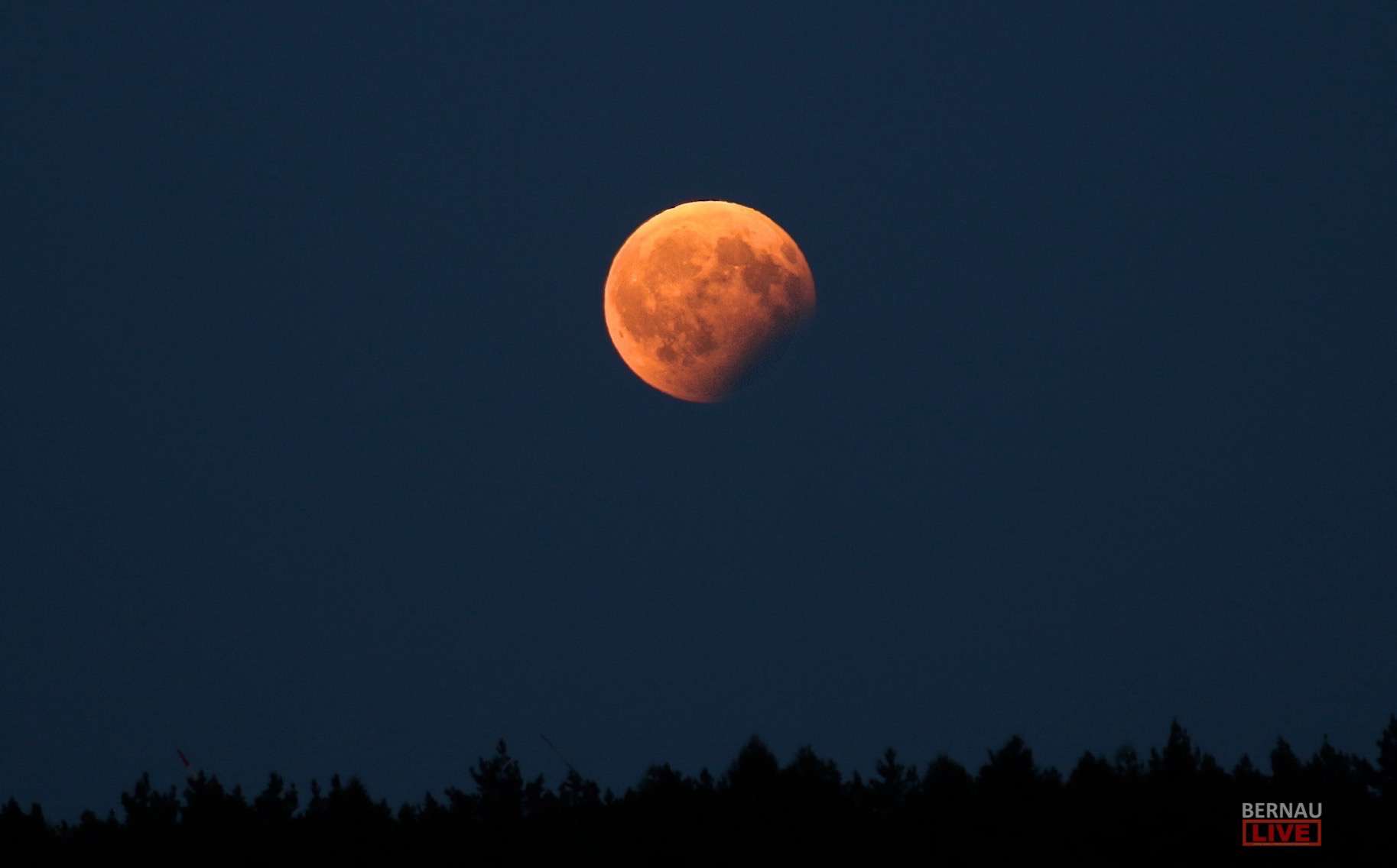 RangerTour: Himmelsspaziergang über die Rieselfelder um Hobrechtsfelde