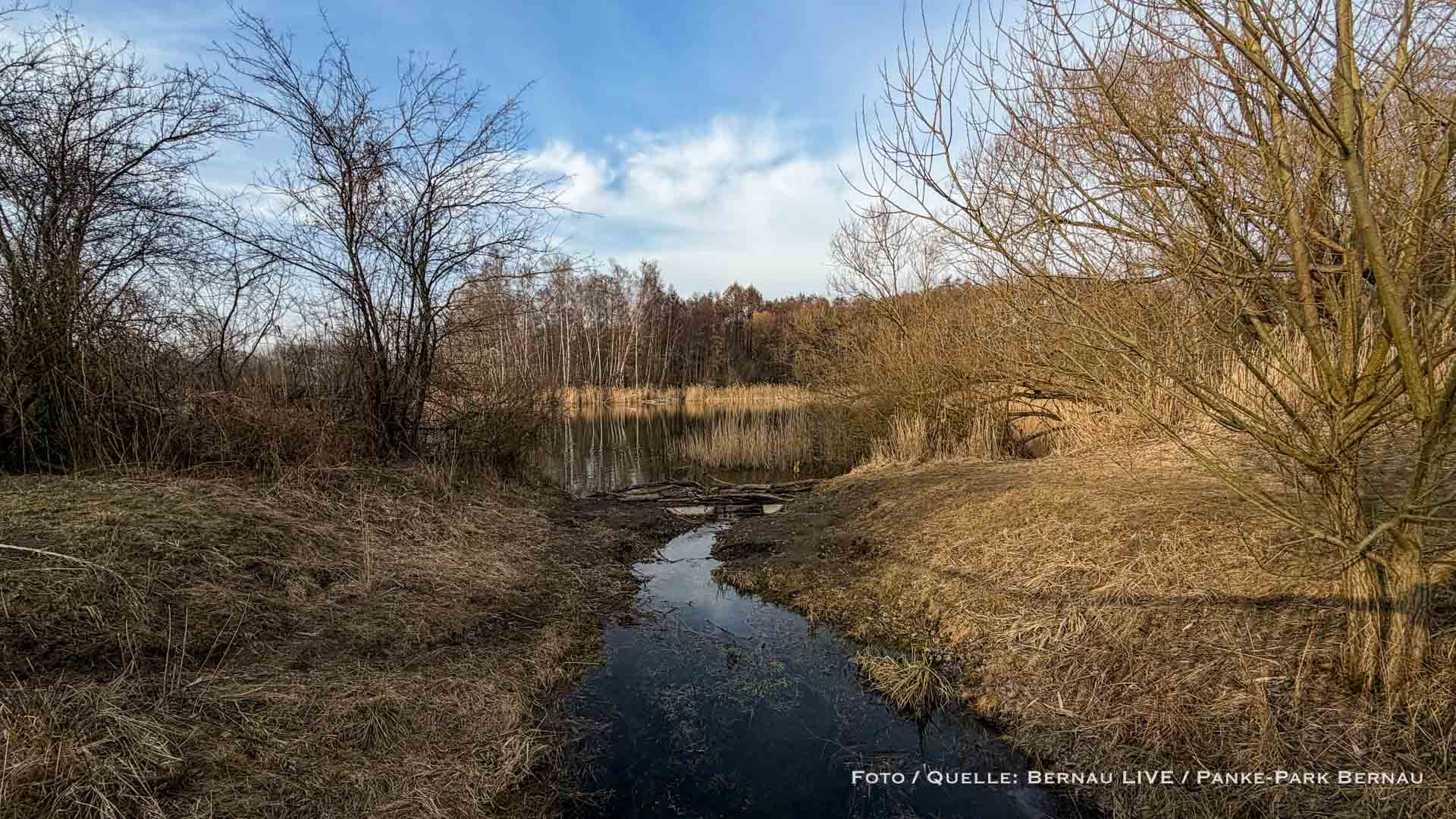 Guten Morgen aus Bernau und einen schönen Donnerstag