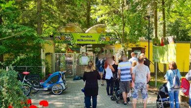 Förderung für Barrierefreiheit: Zoo Eberswalde erhält 69.900 Euro aus Lottomitteln
