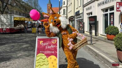 Bernau im Osterfieber: 560 Nester warten auf kleine Entdecker