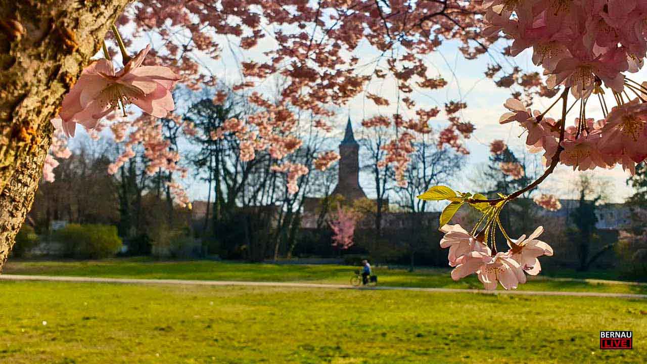 Bernau LIVE wünscht allen einen schönen Dienstag