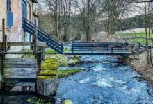Frühlingserwachen im Barnim: Auf Rangertour durch das wilde Finowtal