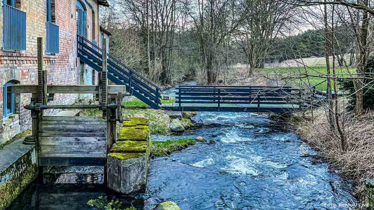 Frühlingserwachen im Barnim: Auf Rangertour durch das wilde Finowtal