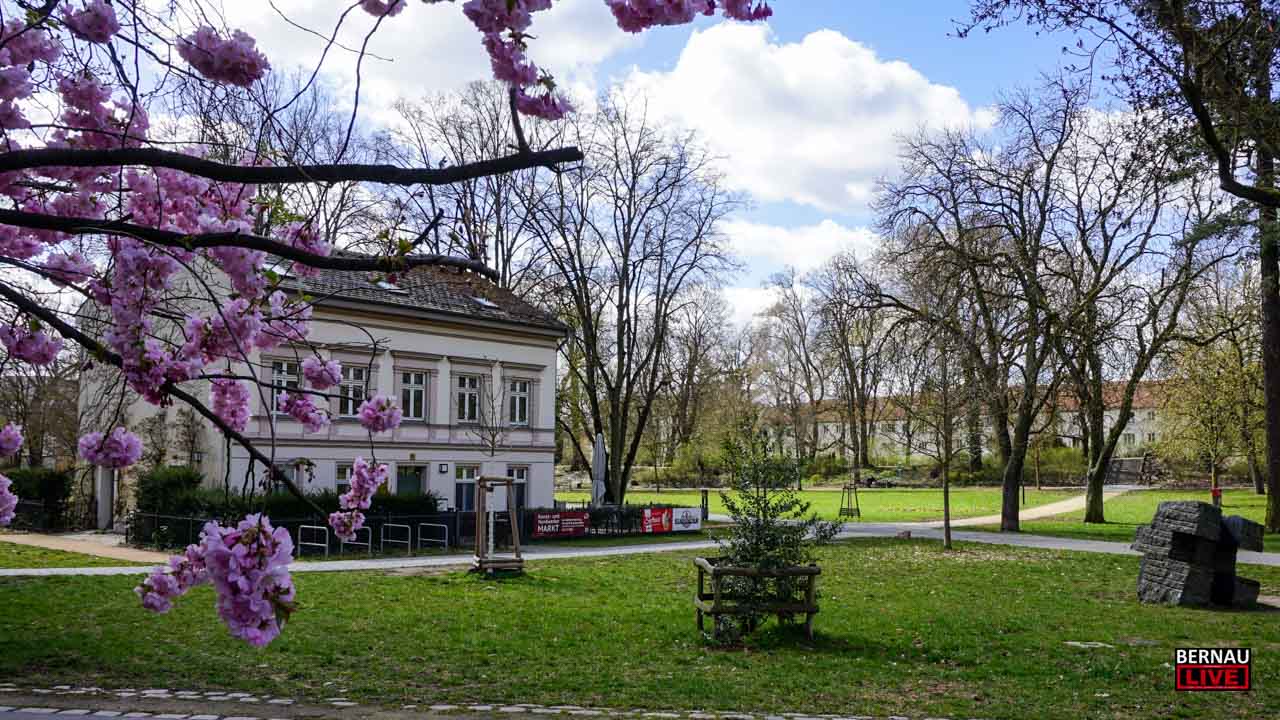 Informationen zum Verkehr sowie einige Veranstaltungstipps aus Bernau und dem Barnim. Wir wünschen einen angenehmen Donnerstag und noch schöne Ferien.