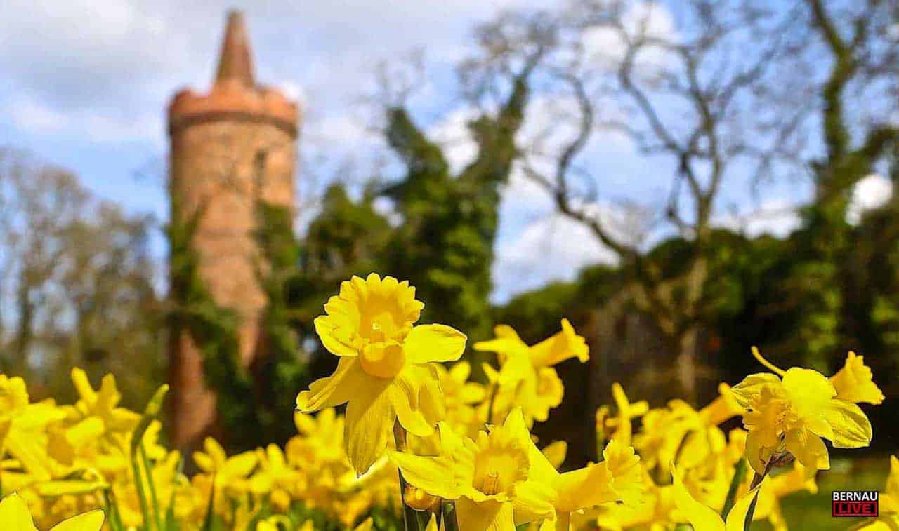 Bernau LIVE - Dein Stadtmagazin