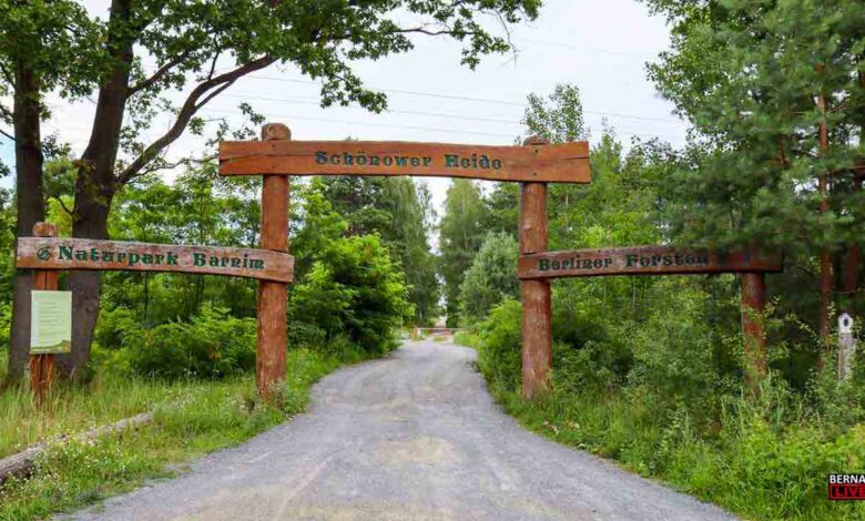 Dem Wiedehopf auf der Spur: Entdeckungstour durch die Schönower Heide