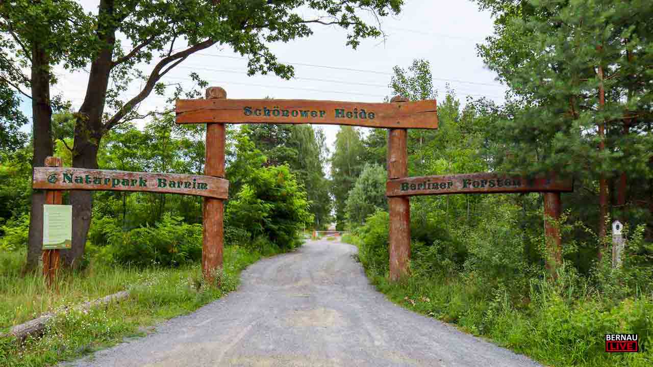 Dem Wiedehopf auf der Spur: Entdeckungstour durch die Schönower Heide