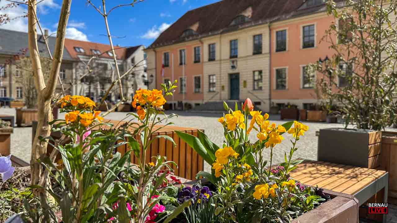 Moin aus Bernau und einen schönen Donnerstag bei knapp 20 Grad
