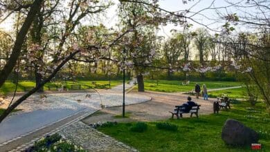 Bernau LIVE - Dein Stadtmagazin