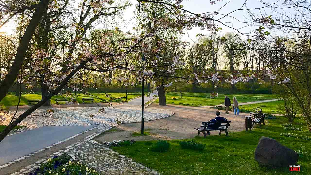 Bernau LIVE - Dein Stadtmagazin