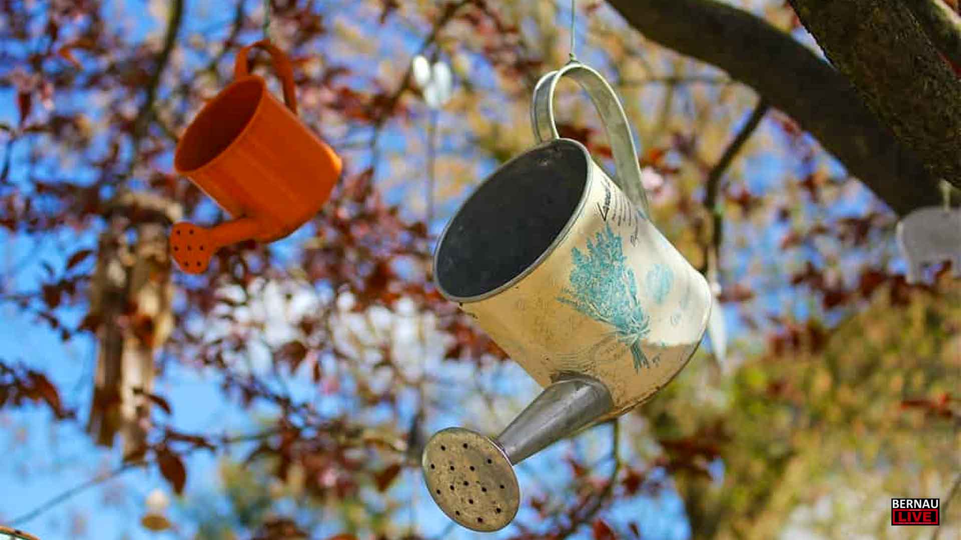 Einen schönen Samstag: Veranstaltungen und Osterfeuer für Bernau & Barnim