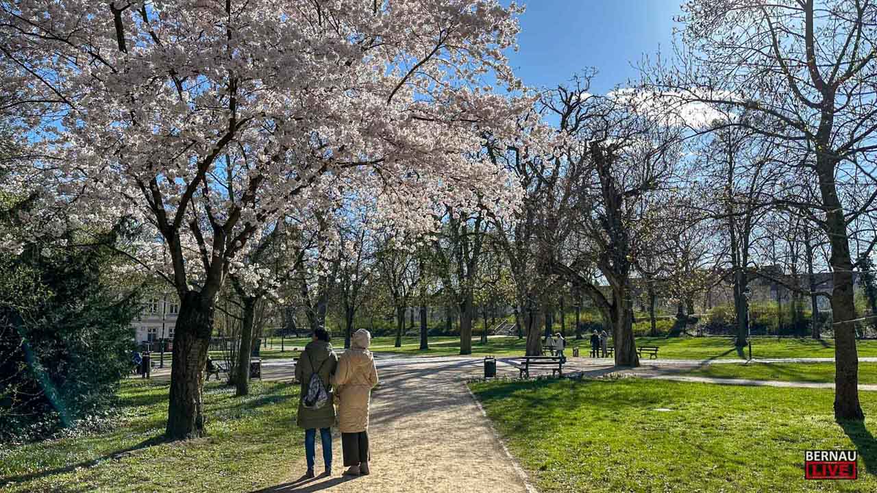 Ostern in Bernau und Barnim: Hier hoppelt der Hase! Veranstaltungen zum Osterfest