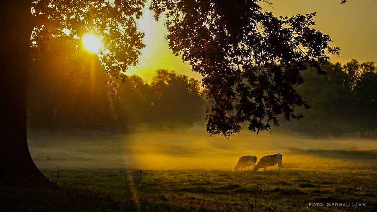 Bernau LIVE wünscht einen sonnigen Start in den Tag