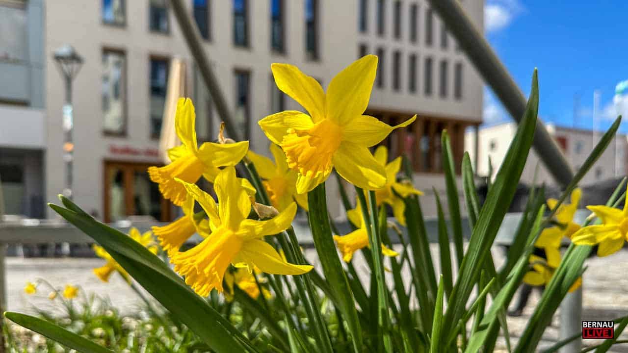 Guten Morgen aus Bernau und einen sonnig-schönen Dienstag