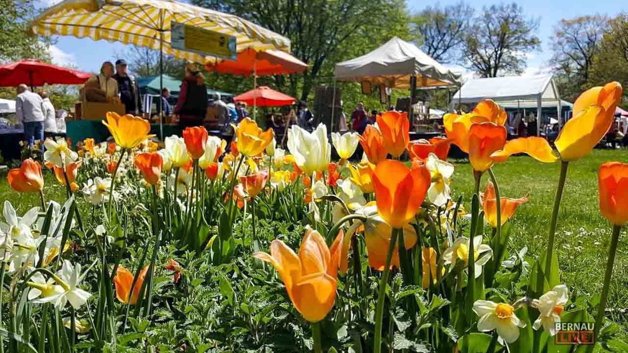 Bernau LIVE - Dein Stadtmagazin