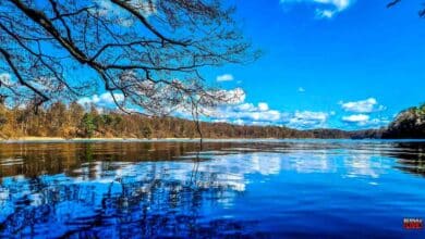 Zusehen ist der Liepnitzsee bei sonnigem Wetter und blauem Himmel.