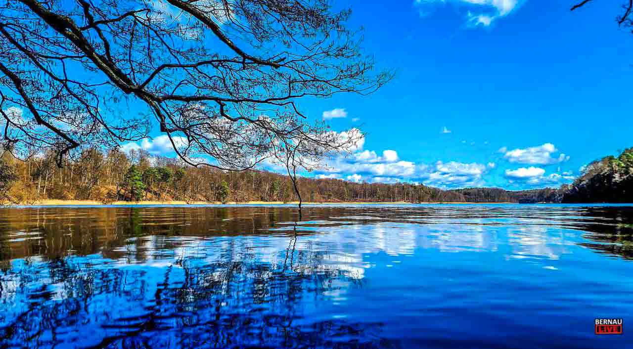 Zusehen ist der Liepnitzsee bei sonnigem Wetter und blauem Himmel.