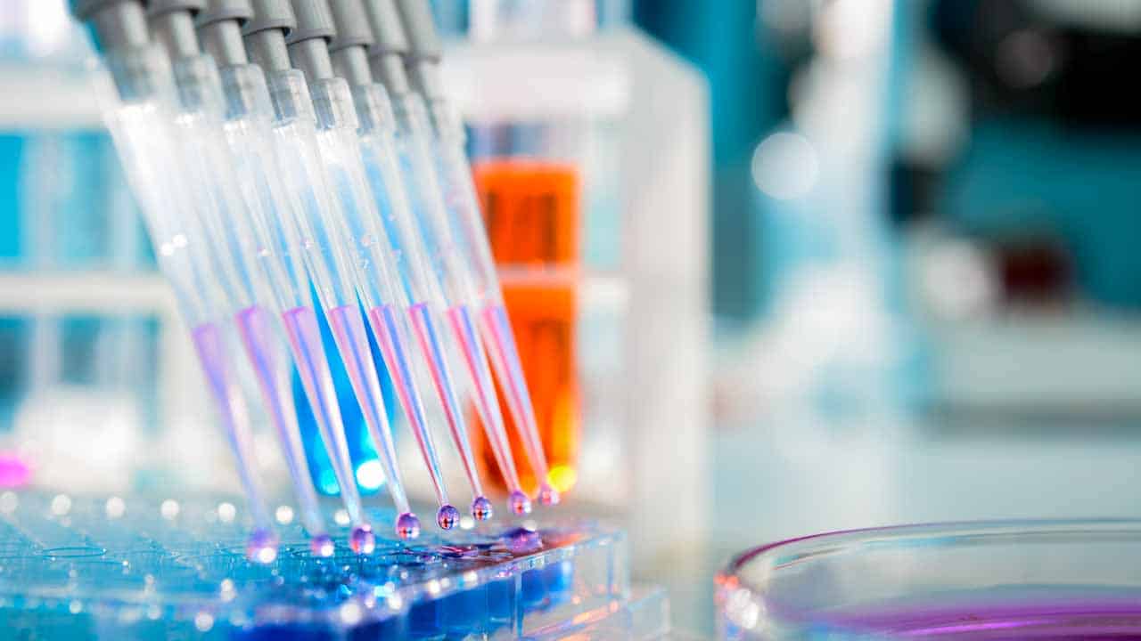 Bernau: BIOLOGIELABORANT:IN / BTA / B.SC. BIOLOGIE, o.ä. (m/w/d)