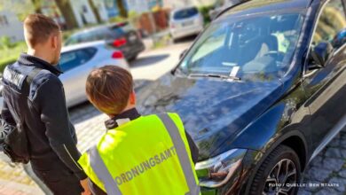 Zukunftstag bei der Stadt Bernau - Ein Beitrag von Jördis, Josephine, David und Ben