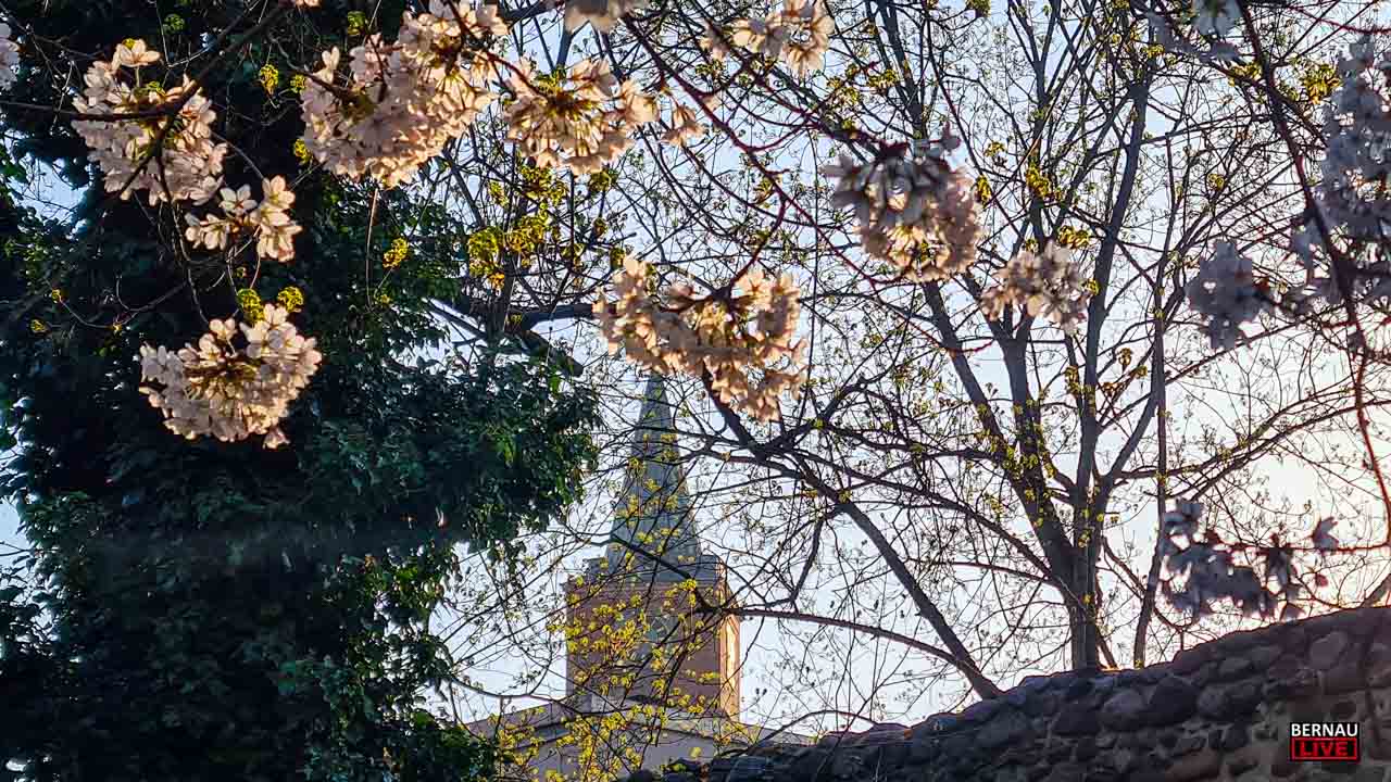 Guten Morgen aus Bernau und eine gute Wochenmitte