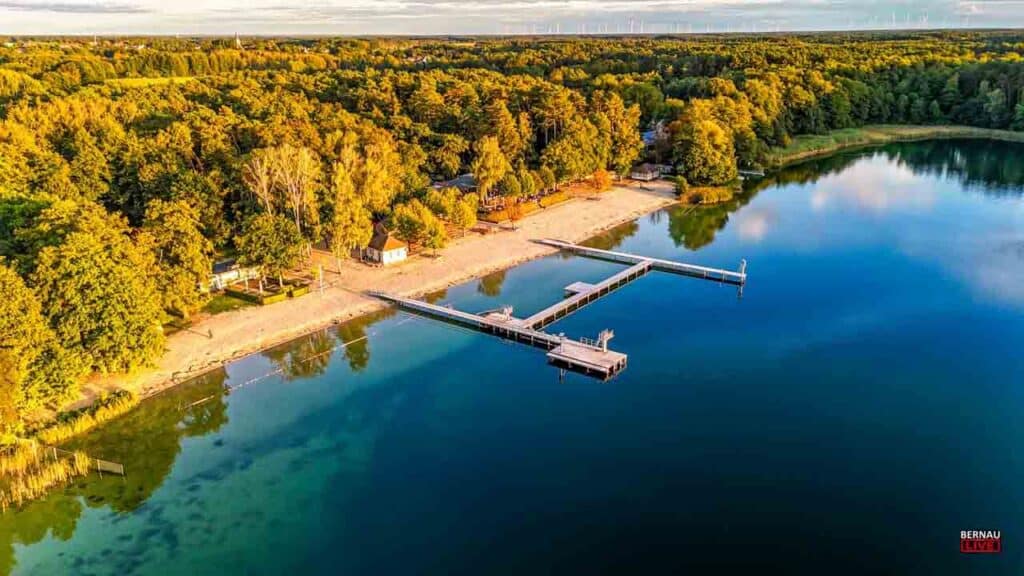 Bernau LIVE - Dein Stadtmagazin