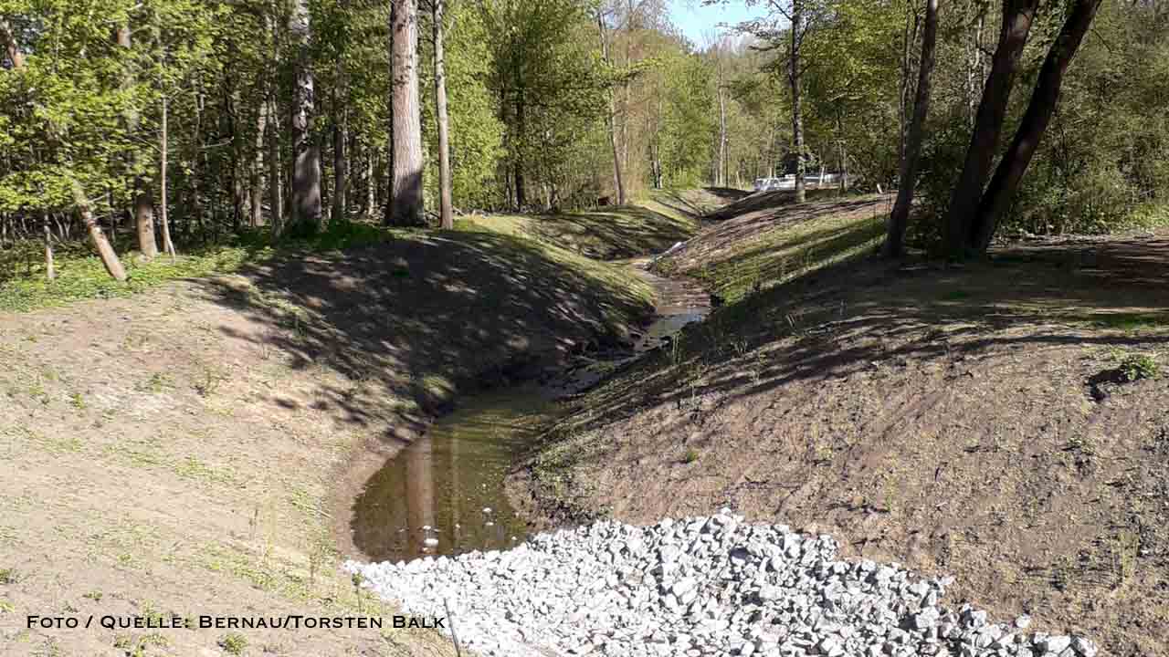 Renaturierungsarbeiten im Panke-Park Bernau nach sechs Monaten vollendet