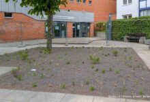 Mehr Grün statt Asphalt: Bernau entsiegelt den Platz am Wolf-Kahlen-Museum