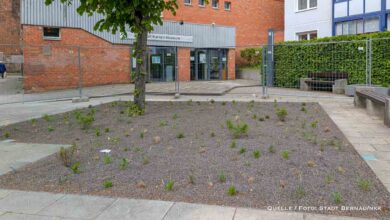 Mehr Grün statt Asphalt: Bernau entsiegelt den Platz am Wolf-Kahlen-Museum