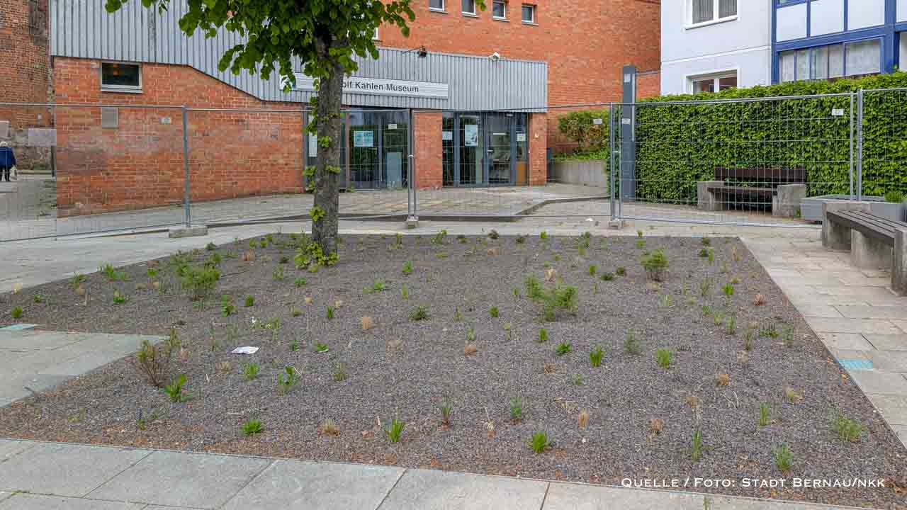 Mehr Grün statt Asphalt: Bernau entsiegelt den Platz am Wolf-Kahlen-Museum