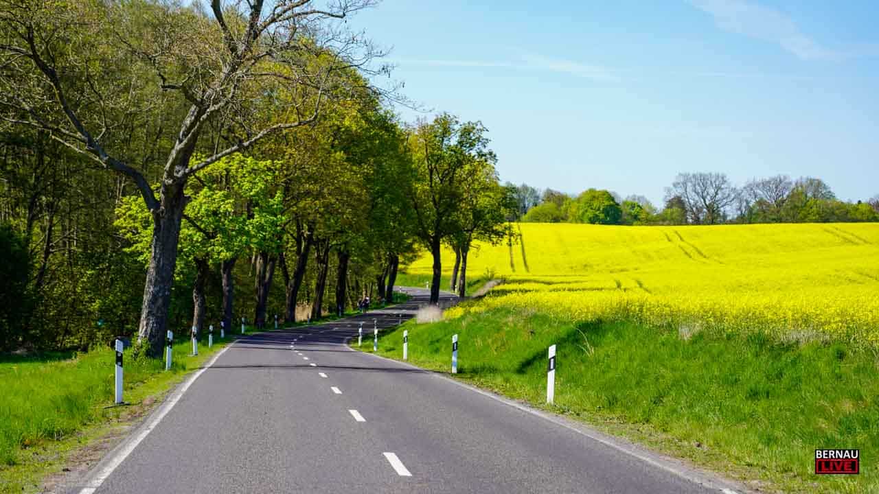 Bernau LIVE am Sonntag: Sonne, Sommer und Ausflugstipps
