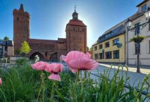 Guten Morgen aus Bernau und einen sonnigen (Brücken) Freitag. Platz am Steintor in Bernau