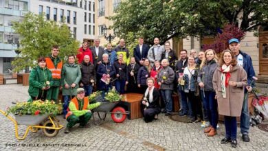 Trotz Wolken: 44 Blumenampeln bringen Farbe in die Bernauer Innenstadt