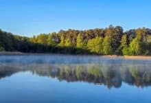 Großer Wukensee in Biesenthal nach einer recht kalten Mai-Nacht mit Nebel auf dem Wasser