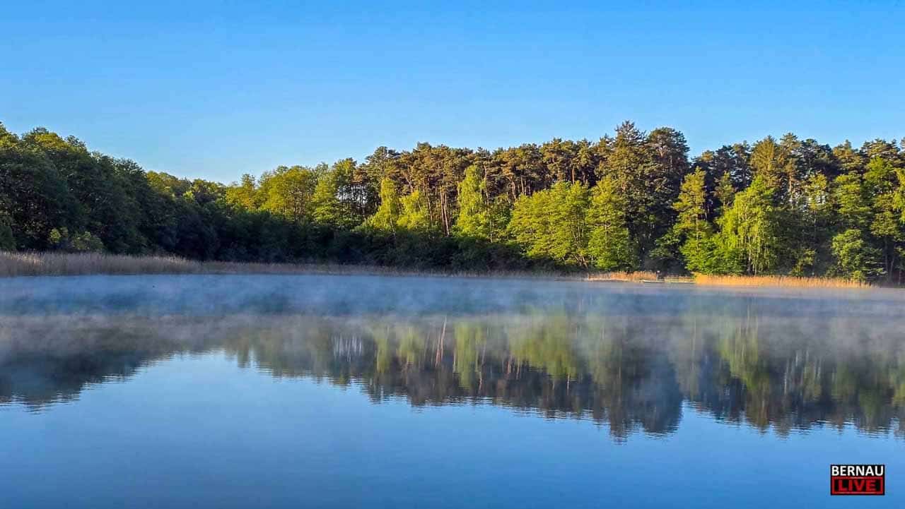 Großer Wukensee in Biesenthal nach einer recht kalten Mai-Nacht mit Nebel auf dem Wasser
