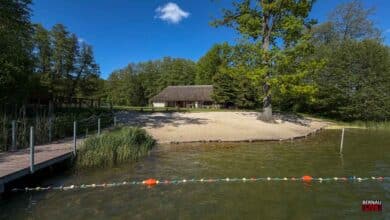 Blick auf das Waldbad Liepnitzsee in Bernau