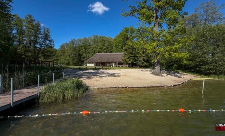Blick auf das Waldbad Liepnitzsee in Bernau