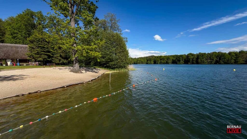 Beste Werte für den Badespaß: Barnimer Gewässer punkten mit Top-Wasserqualität