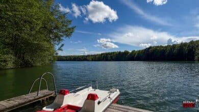 Waldbad LKiepnitzsee - Veranstaltungen und Tipps für das Wochenende in Bernau und Barnim