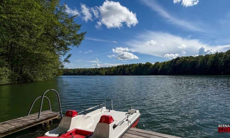 Waldbad LKiepnitzsee - Veranstaltungen und Tipps für das Wochenende in Bernau und Barnim