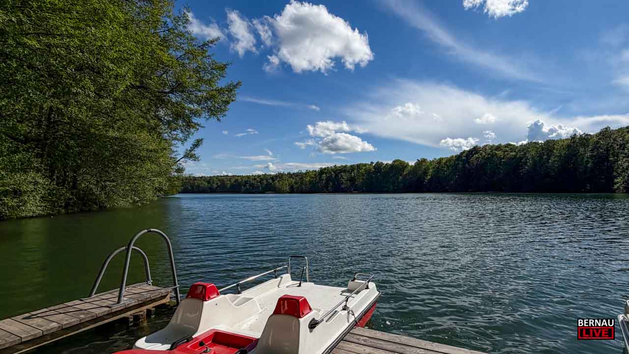 Waldbad LKiepnitzsee - Veranstaltungen und Tipps für das Wochenende in Bernau und Barnim
