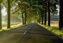 Guten Morgen aus Bernau und einen sommerlich-schönen Freitag