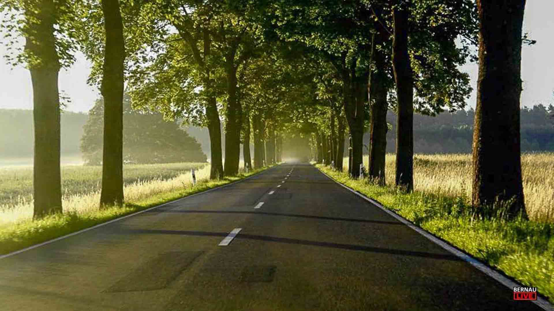 Guten Morgen aus Bernau und einen sommerlich-schönen Freitag 1 Guten Morgen aus Bernau und einen sommerlich-schönen Freitag