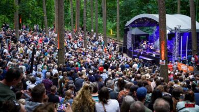 MINE und Wallis Bird verzaubern die Waldbühne am Mechesee in Lobetal