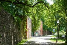 Guten Morgen aus Bernau - Verkehr, Infos und Tipps zum Wochenstart