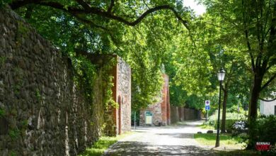Guten Morgen aus Bernau - Verkehr, Infos und Tipps zum Wochenstart