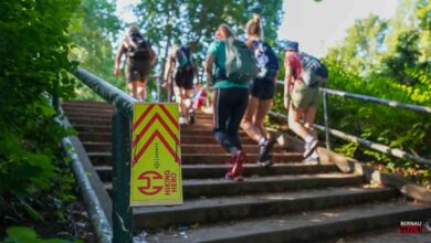 „Hiking Hero 2026“ lockt über 1.000 Wanderbegeisterte nach Bernau