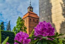 Guten Morgen aus Bernau – Verkehr, Infos und Tipps am 23. Juni 2026