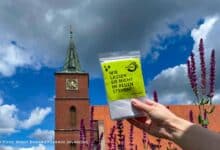 Letzte Handgriffe für das 33. Hussitenfest: Bernau ist startklar