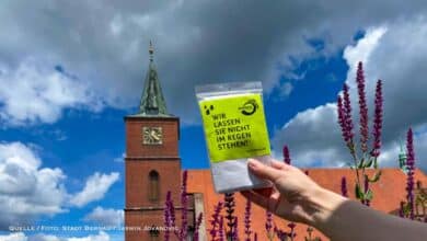 Letzte Handgriffe für das 33. Hussitenfest: Bernau ist startklar