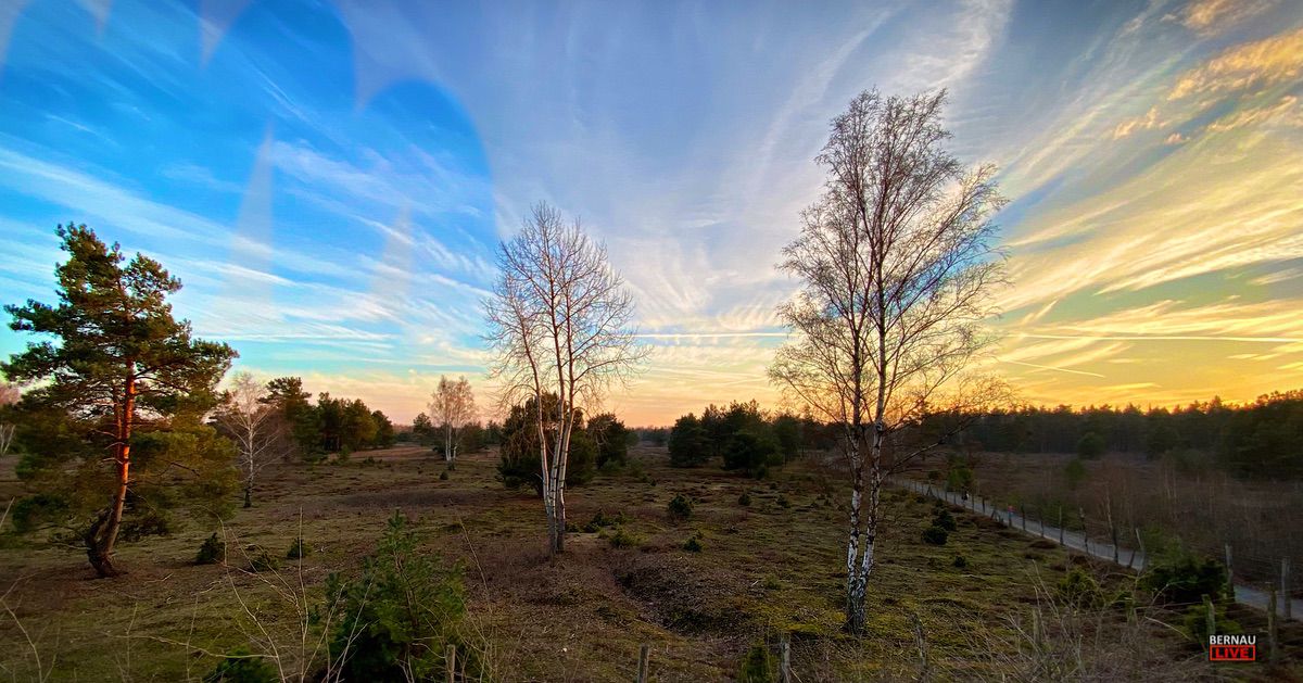 Auf den Spuren des Ziegenmelkers: Nächtliche Expedition in die Schönower Heide